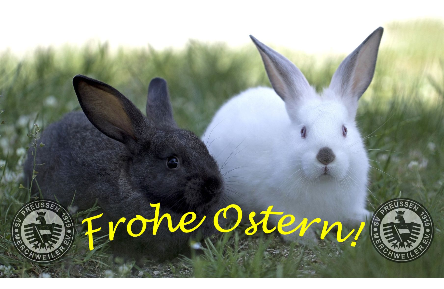 Frohe Ostern!