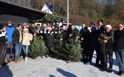 Weihnachtsbaumverkauf auf dem Haldy