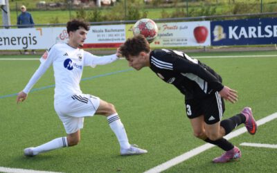 Haldy News SL_2526 Ausgabe 8