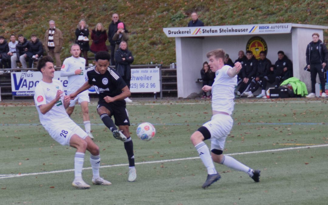 Haldy News SL_2526 Ausgabe 11