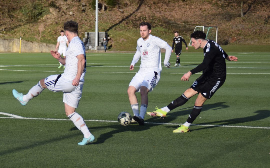 TEILERFOLG GEGEN lIMBACH