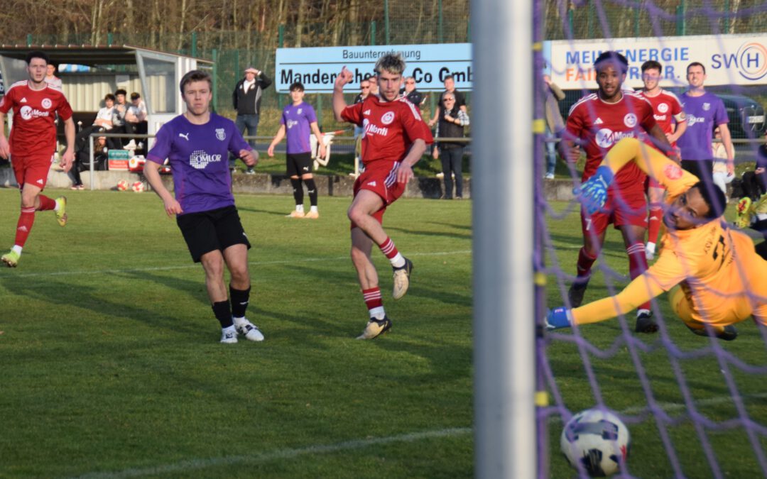 Haldy News SL_2526 Ausgabe 13