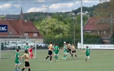 D1: Punkteteilung im Spitzenspiel